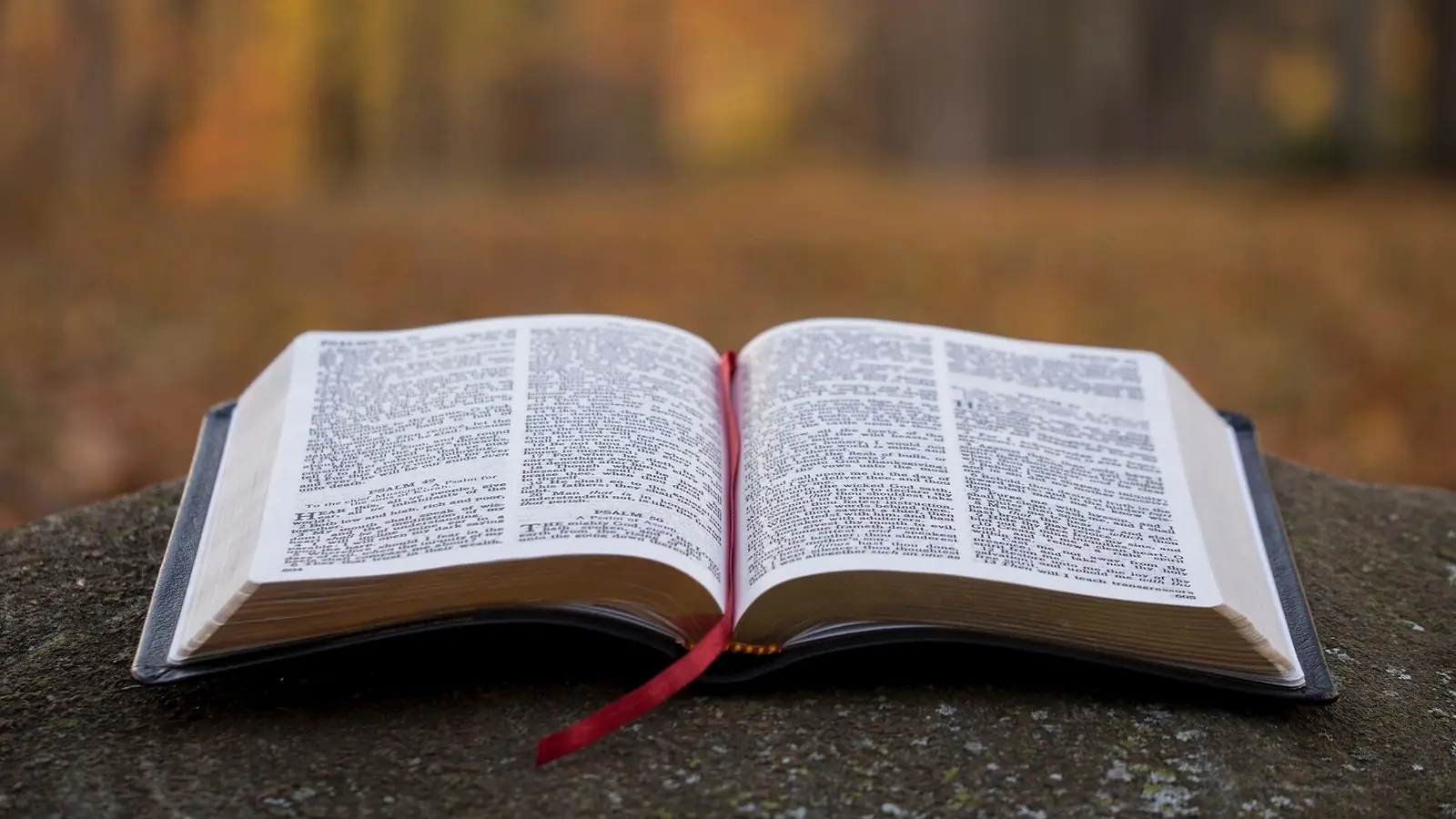 Biblia abierta